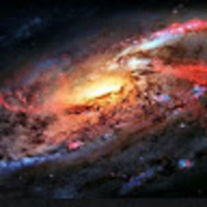 Meet your Posher, Dalton